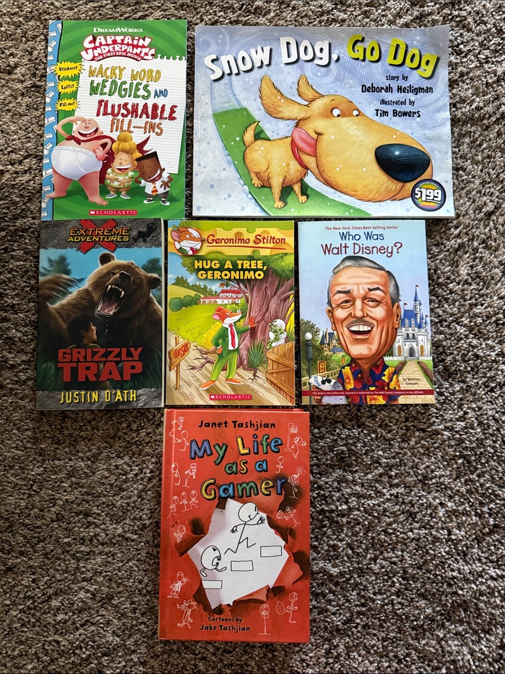 Children's Book Lot - Colorful Assorted Picture & Chapter Books
